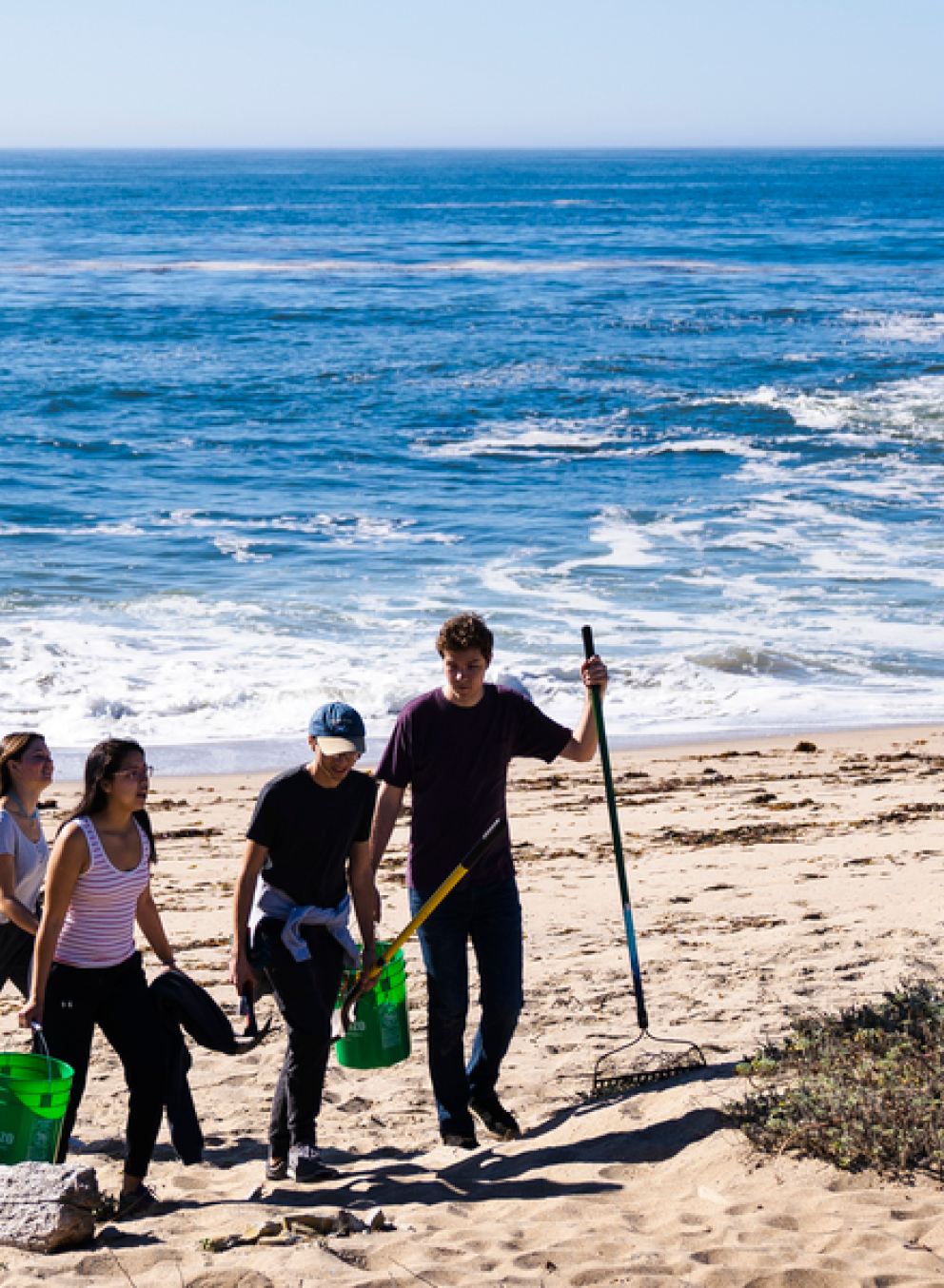 Environmental Sciences